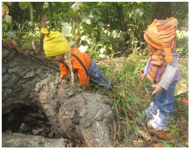 "Неприятный случай" или Ёжик, осень, грибочки. Wichtel, Rosemarie Anna Muller (фото 9)