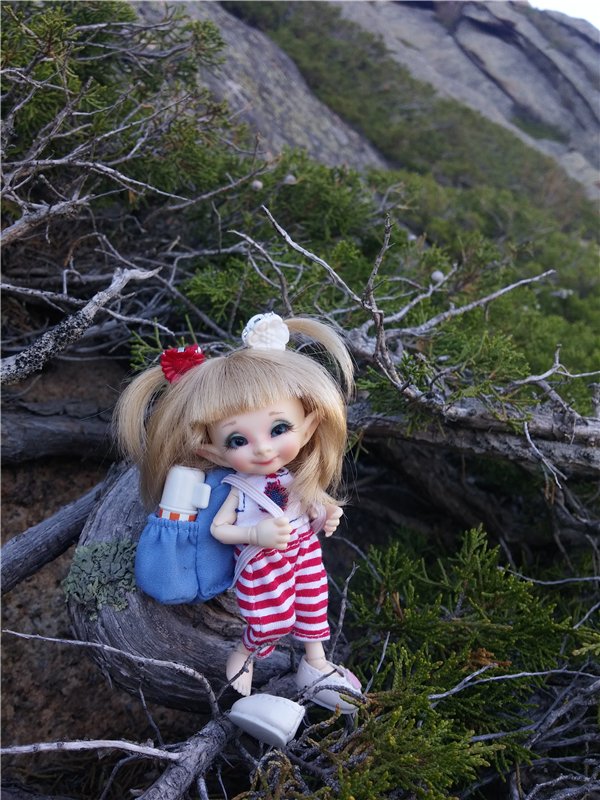 Сибинские озера. Фросенька-эльф высокогорный. ReaiPuki Pupu