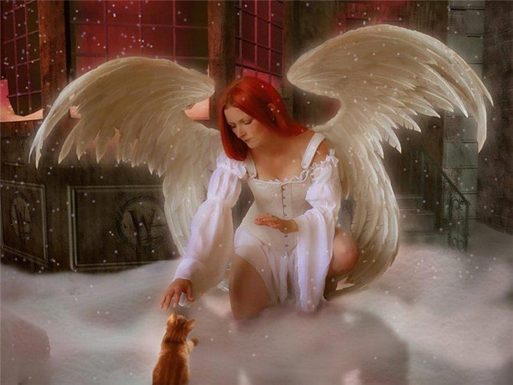 А у нас сегодня Рождество! Куколы Hildegard Gunzel под елкой (фото 2)