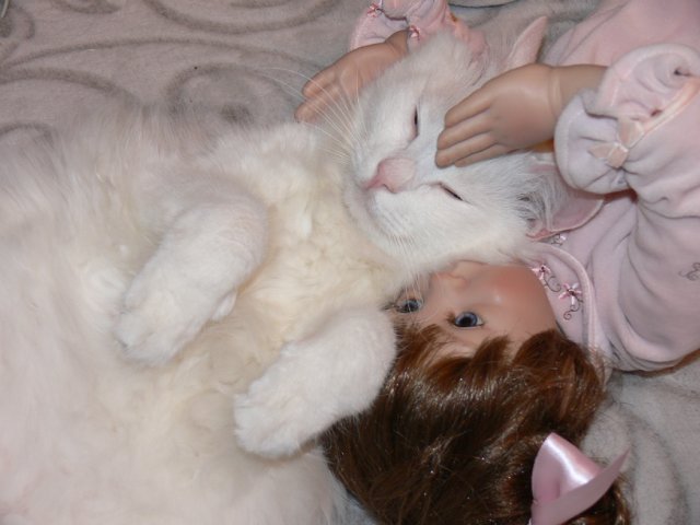 Интересно, кто кого больше любит