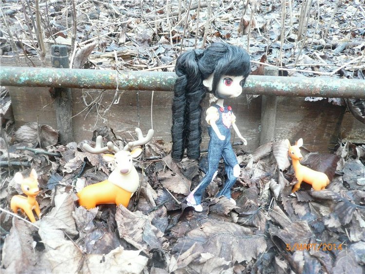 Люсенька - куколка Dal — Куклы Pullip (Пуллип)