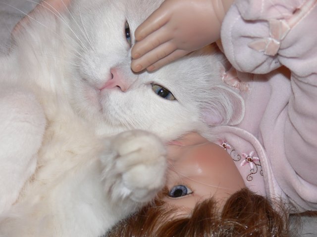 Интересно, кто кого больше любит