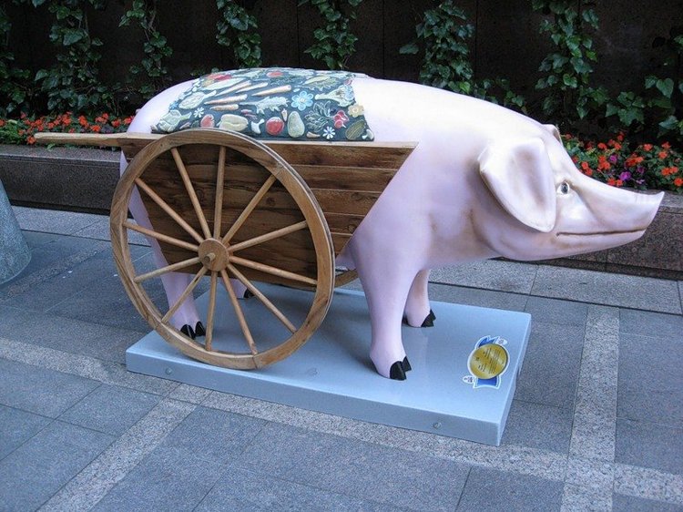 Сиэтл. Такие забавные свинки (фото 8)