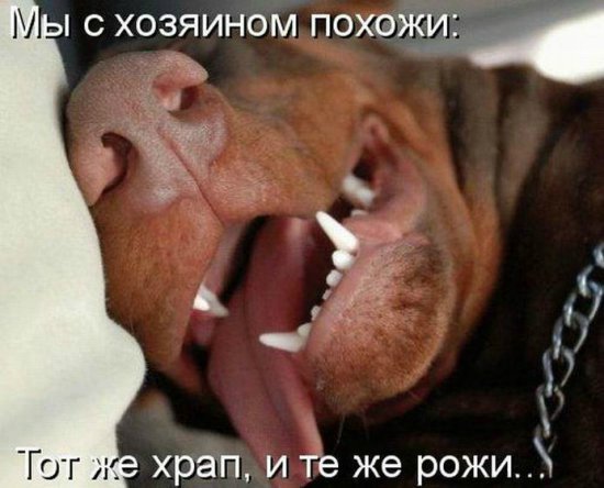 Море позитива) Для поднятия настроения (осторожно! много фото)))) | Бэйбики Море позитива) Для поднятия настроения (осторожно! много фото))))