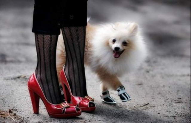 Понедельник - день тяжёлый | Бэйбики Понедельник - день тяжёлый (фото 3)