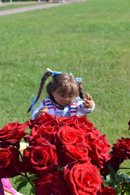 Питер - самый лучший город на земле! Вихтель Rosemarie Anna Muller