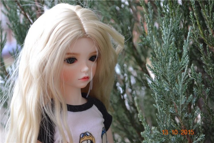 А у нас БЖД пополнение - Лонни от Иплхауз (фото 8)