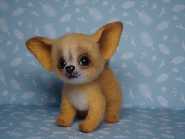 Чихуахуа. Авторская игрушка валянием Ольги Чернухо