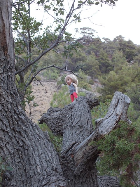 Крымские каникулы для Оливки | Бэйбики Крымские каникулы для Оливки