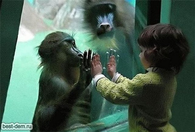 Не просто фото | Бэйбики Не просто фото — Болталка и разговоры обо всем: жизнь (фото 6)