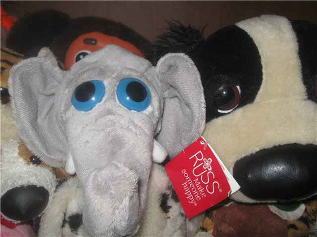 Любимцы моих мальчишек или пучеглазики (фото 4)