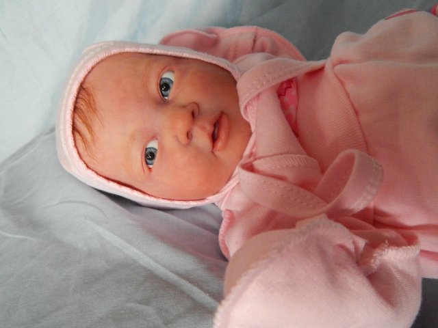 Реборн Рыжик. Моя переделочка из куклы беренжер (фото 2)