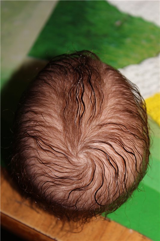 Крошечка-хаврошечка. Куклы реборн Преображенской Светланы (фото 10)