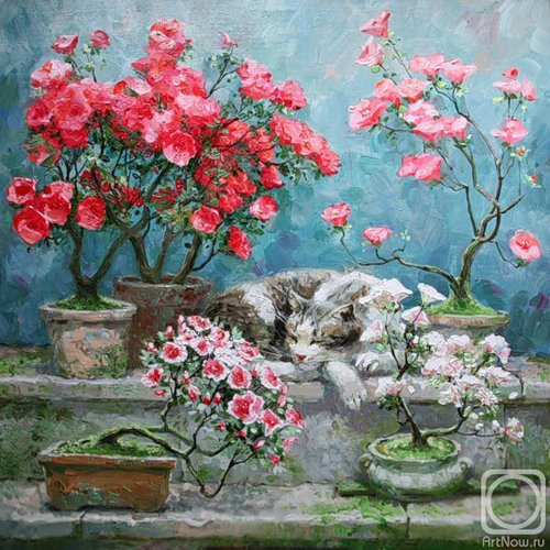 «Мяу» особого назначения или Весенняя кошкотерапия