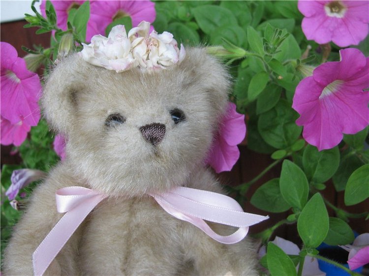 Моя семейка плюшевых мишек Bearington