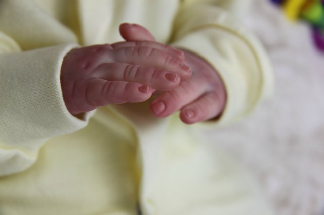 Софийкин! Кукленок реборн Виктории Вишни