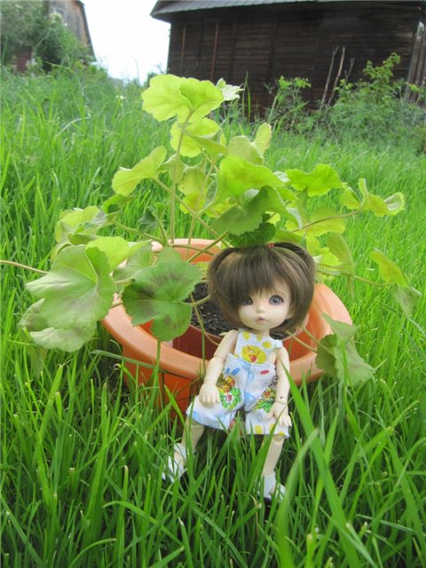 Воспоминания о лете. Куклы БЖД | Бэйбики Воспоминания о лете. Куклы БЖД (фото 6)