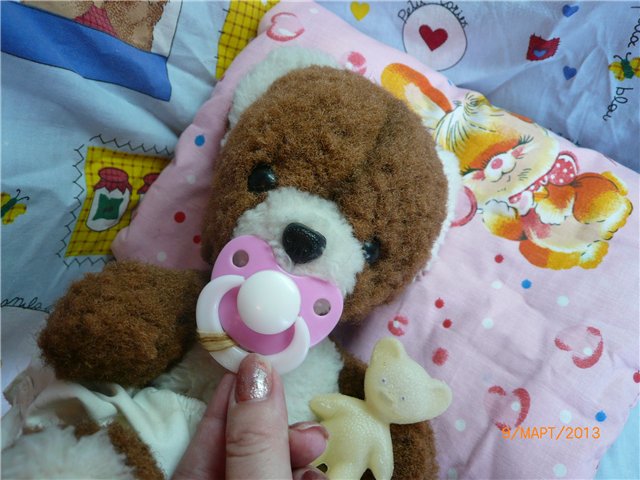 Мой Мишка приехал! Первые часы в любящей доме (фото 6)