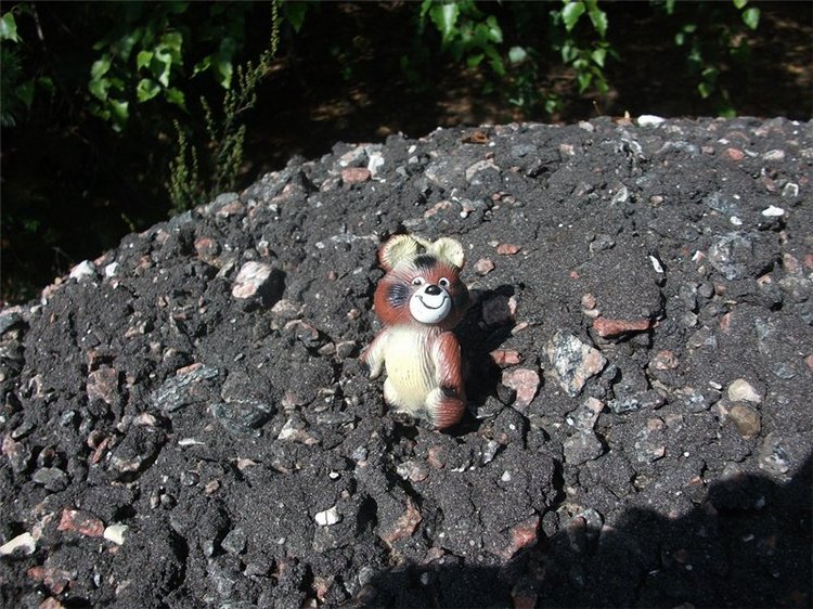 Миша-Мишанька-Моя любимая игрушка детства (фото 9)