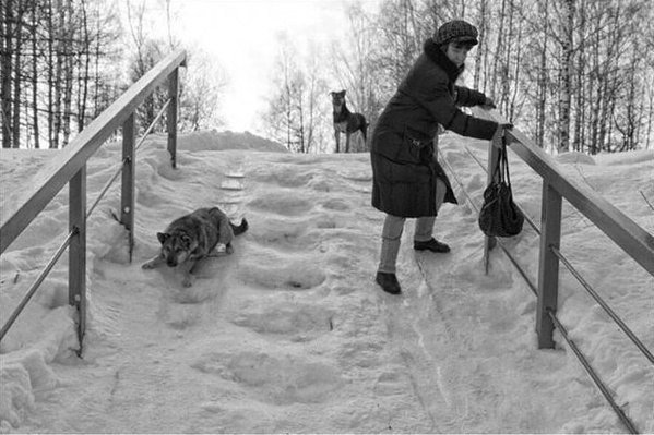 Как прекрасен этот мир, посмотри... "Хороший фотограф тот, кто сумеет выстроить на одной оси глаз, голову и сердце"