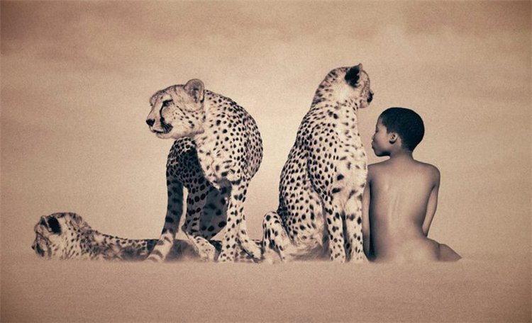 Мир людей и животных фотографа Колберта Грегори (фото 2)
