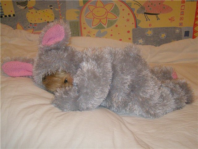 Трусишка Зайка серенький — Одежда и обувь для кукол своими руками: фото (фото 3)