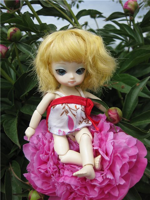 чудо-ребенок от Groove Inc