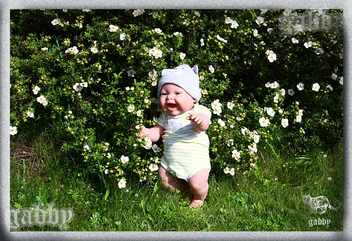 В осенние денёчки, вспоминаем о лете (фото 5)