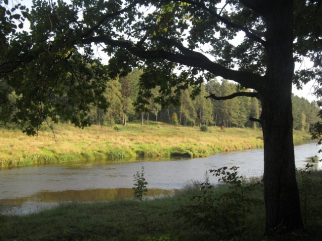 Лерочка и небольшое путешествие по Тверской области