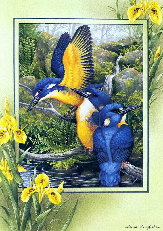 Мир эльфов и фей от Ширли Барбер (SHIRLEY BARBER)