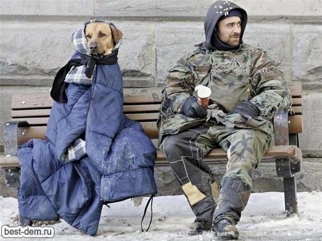 Не просто фото | Бэйбики Не просто фото — Болталка и разговоры обо всем: жизнь (фото 8)