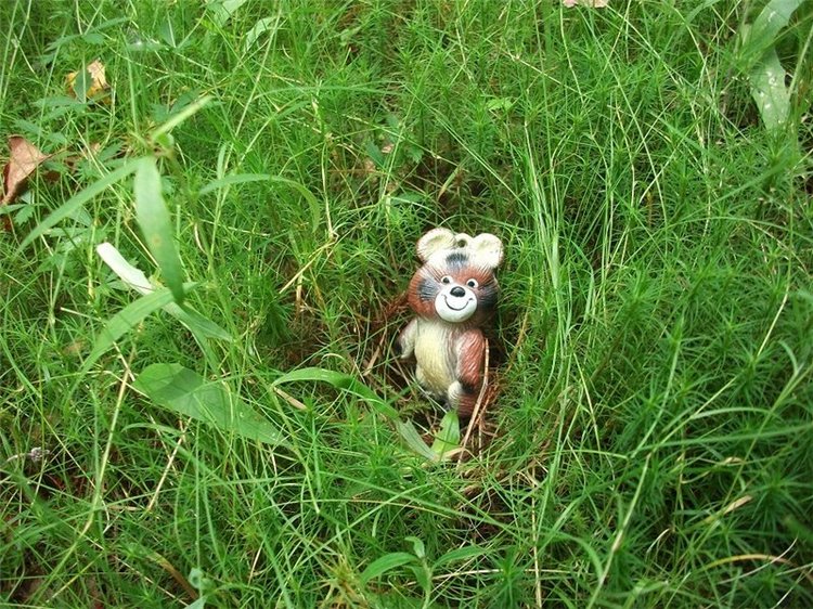 Миша-Мишанька-Моя любимая игрушка детства (фото 7)