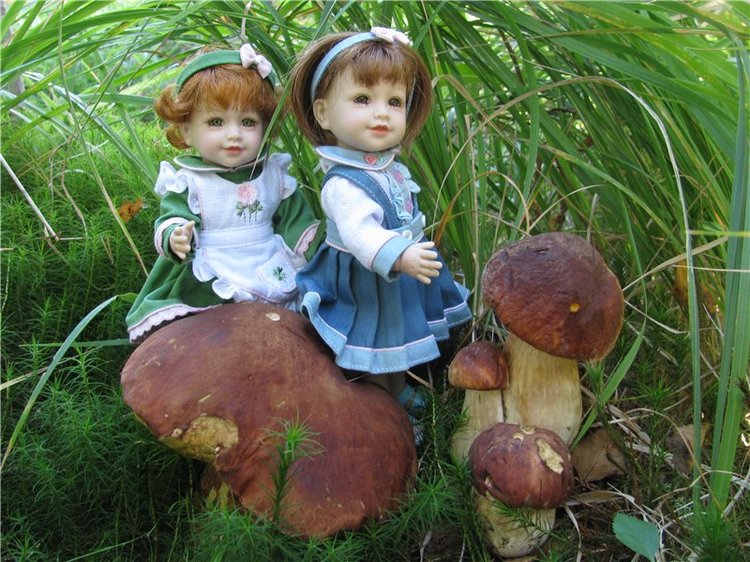 Жизнь моих маленьких Адорок (фото 4)