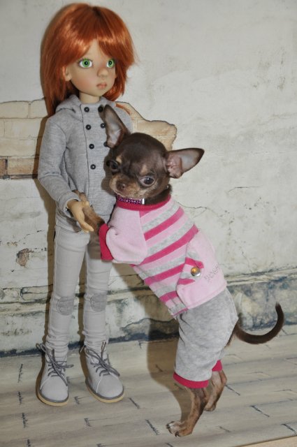 Лайла (Кайе Виггз) с Феней (чишечка). Надеюсь, что любителей собачек на сайте также много, как и поклонников кукол от Кайе