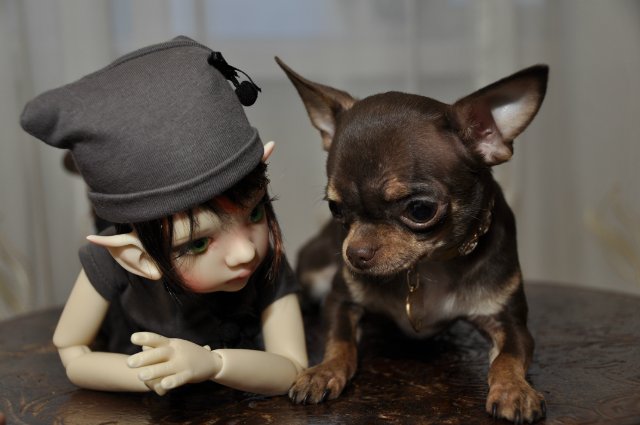 Мой маленький гномик Талиса и Фенечка от Кайе Виггз