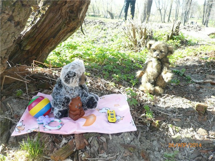 Про Мишку. Коллекционный Мишка Панда от Charlie Bears