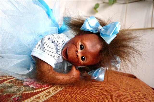 Привет из Африки. Реборн Бинки