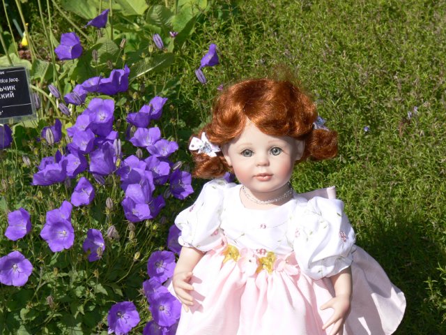 Прогулка в Ботаническом саду Санкт Петербурга. Часть 3. Садовая клумба