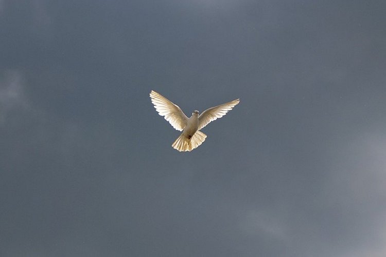 Пусть всегда будет солнце. Куколки Бердины Криди и Хайди Плусчок на утреннике | Бэйбики Пусть всегда будет солнце. Куколки Бердины Криди и Хайди Плусчок на утреннике