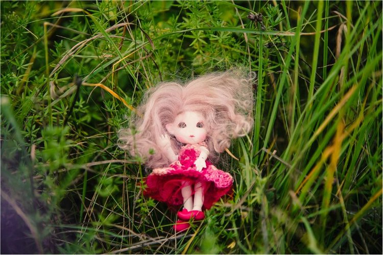 Немного лета на закате — Куклы Peaks Woods (Пиксвудс): BJD (БЖД)