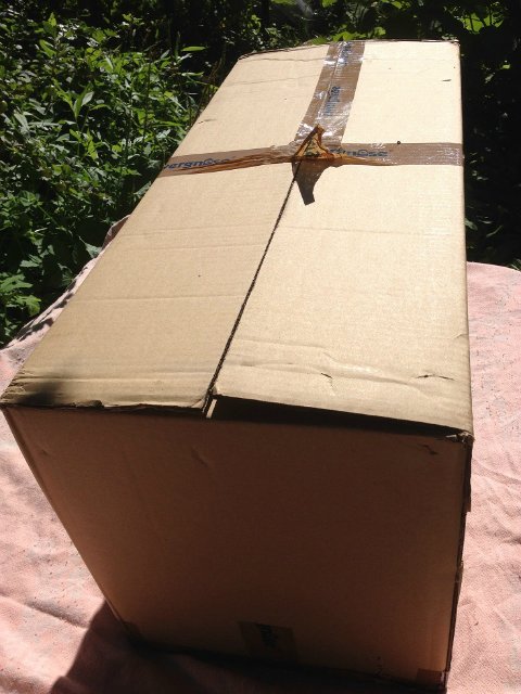 Zwergnase. Anneli. Распаковка и фотосессия (фото 4)