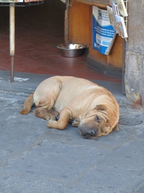 "Моя Италия". Часть 4 - Флоренция (продолжение)