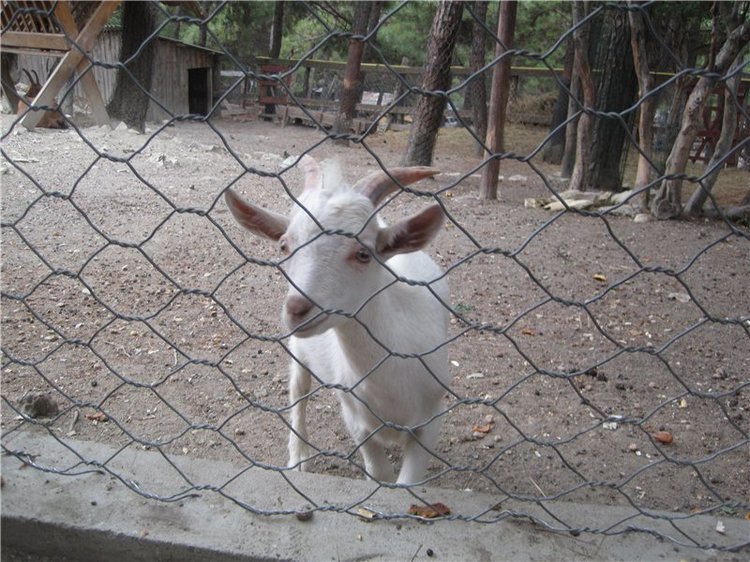 Галчонок и лето. Винтажна куколка СССР Галя