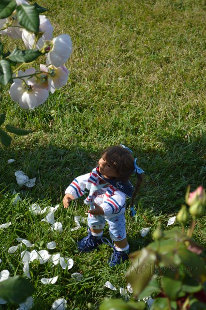 Питер - самый лучший город на земле! Вихтель Rosemarie Anna Muller