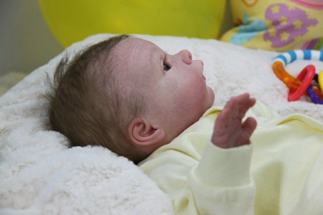 Софийкин! Кукленок реборн Виктории Вишни