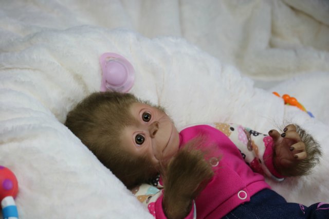 Мартышка - малышка... Куколка реборн Виктории Вишни