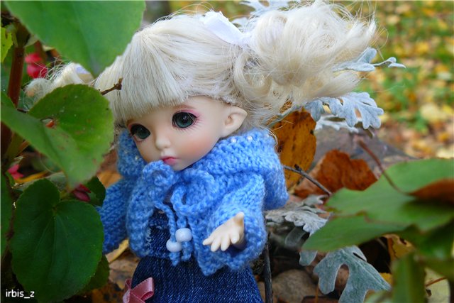 Вот так погуляли или Как у нас появилась кукла БЖД LittleFee Ante Elf (фото 6)