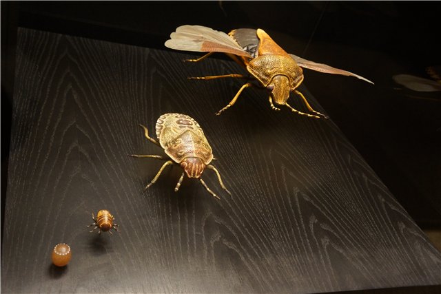 Взятие Берлина. Часть 3. Аква-дом, Улыбка бегемота и Прототип куколок Шильдкрот