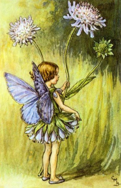 Долгая жизнь цветочных фей от иллюстраций Cicely Mary Barker до кукол Birgitte Frigast