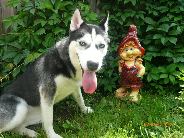 Настюша. Винтажная малышка